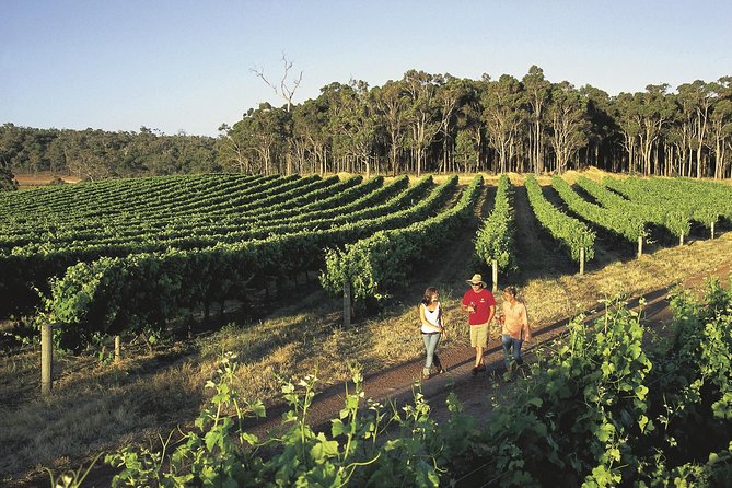 Private winery chauffeur tour near Perth